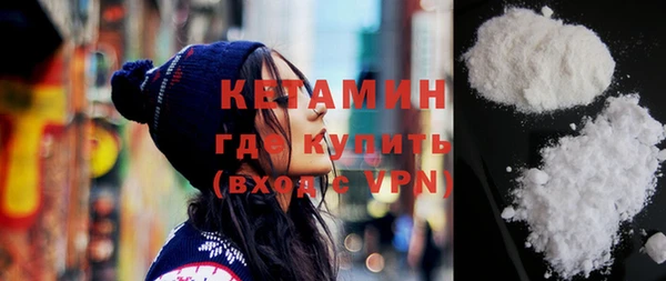 сатива Новодвинск