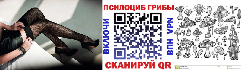 Галлюциногенные грибы Psilocybine cubensis  как найти закладки  Устюжна 